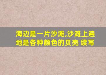 海边是一片沙滩,沙滩上遍地是各种颜色的贝壳 续写